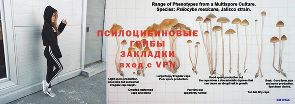 скорость Абаза
