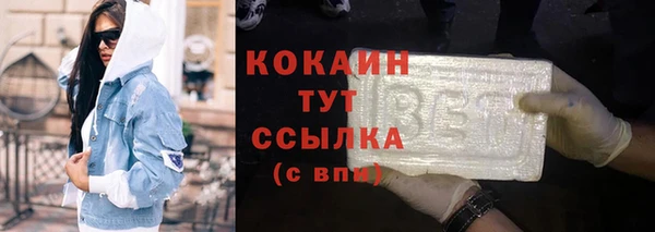 стаф Абинск