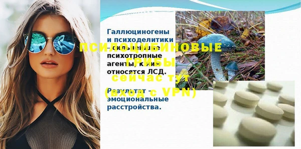 скорость Абаза