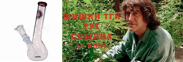 стаф Абинск