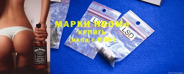 стаф Абинск