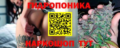 мдпв Пенза
